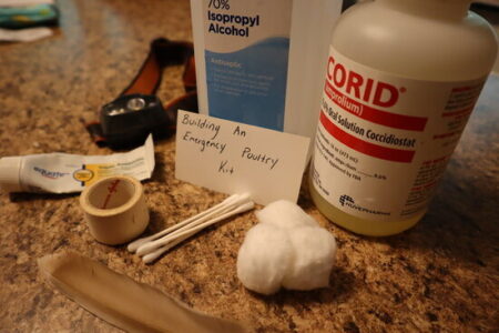 Building An Emergency Poultry Kit Image